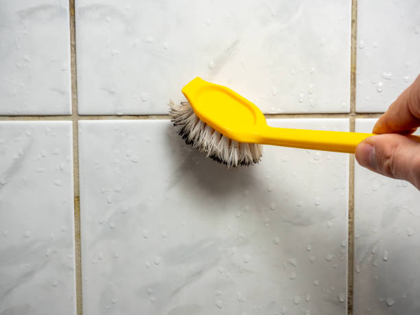 Office Mold Removal Services in Wooster, OH